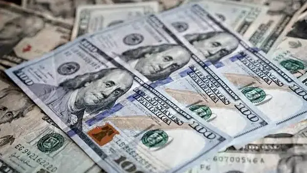 ¿Por qué el BCRA compra cada vez menos dólares? Los 3 factores que lo explican