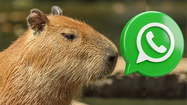 Tu WhatsApp nunca se vio tan tierno: así se activa el "modo capibara", la moda que invade los celulares